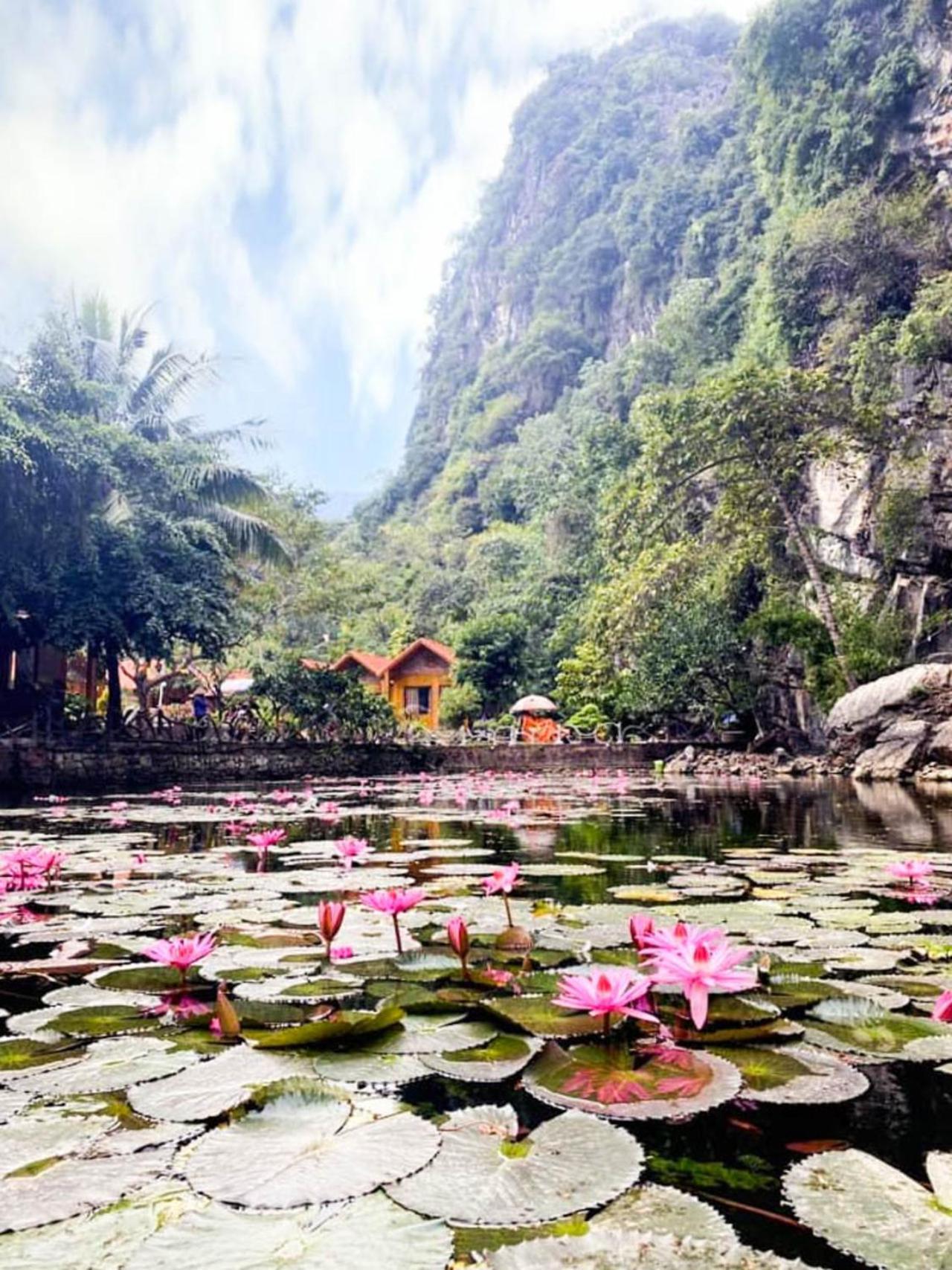 Tam Coc Rocky Bungalow Ninh Binh Exterior foto